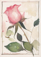 FLEURS Vintage Carte Postale CPSM #PBZ232.A - Blumen