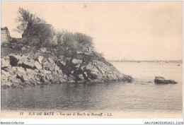 AAUP11-29-1029 - ILE DE BATZ - Vue Sur Le Roc'H Et Roscoff - Ile-de-Batz