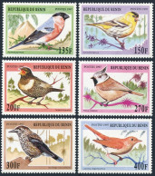 Benin 994-999, MNH. Michel 957-962. Songbirds, 1997. - Bénin – Dahomey (1960-...)