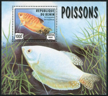 Benin 1154, MNH. Michel 1169 Bl.49. Fish Trichogaster Trichopterus, 1999. - Benin - Dahomey (1960-...)