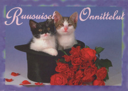 KATZE MIEZEKATZE Tier Vintage Ansichtskarte Postkarte CPSM #PAM565.A - Cats