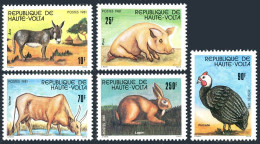 Burkina Faso 587-591, MNH. Michel 851-855. Breeding Animals 1981.Donkey,Pig,Cow, - Burkina Faso (1984-...)