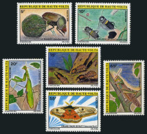 Burkina Faso 554-559, MNH. Mi 818-823. Insects 1981: Dung Beetle, Crickets,Moth, - Burkina Faso (1984-...)