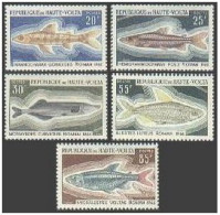 Burkina Faso 196-200,C66-C67, MNH. Michel 263-266,273-275. Fish 1969. Nile Pike, - Burkina Faso (1984-...)