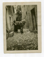 Rare Photo Belvédère Rue Neuve 1928  Format 6,5x9 - Belvédère