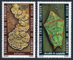 Cameroun 607-608,MNH.Michel 802-803. Mushrooms 1975.Tree Fungus,Chrysalis. - Cameroun (1960-...)
