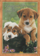 CHIEN Animaux Vintage Carte Postale CPSM #PBQ671.A - Dogs