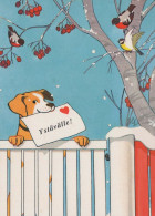 PERRO Animales Vintage Tarjeta Postal CPSM #PBQ439.A - Dogs
