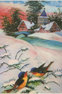 Buon Anno Natale UCCELLO Vintage Cartolina CPSM #PBM591.A - Neujahr