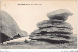 ABFP10-22-0833 - TREGASTEL - Rochers Dans L'Ile Aux Lapins - Trégastel