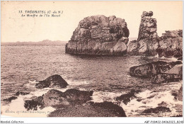 ABFP10-22-0831 - TREGASTEL - Le Gouffre De L'Ile Renot  - Trégastel