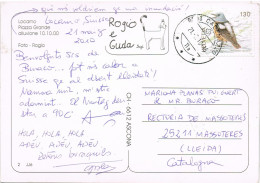 55163. Postal CADENAZZO, Tesino (Suisse) 2010. Vista Piazza Grande Di LOCARNO, Aluvione 2000 - Brieven En Documenten