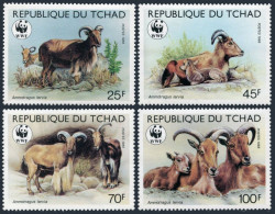 Chad 574-577, Hinged. Michel 1124-1126. WWF 1988. Mouflons. Ammotraguus Lervia. - Tschad (1960-...)