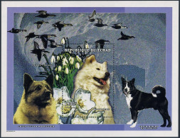 Chad 743 Sheet,MNH. Dogs 1998:Samoyed - Tschad (1960-...)