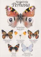 BUTTERFLIES Animals Vintage Postcard CPSM #PBS450.A - Schmetterlinge