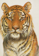 TIGRE Animales Vintage Tarjeta Postal CPSM #PBS066.A - Tigers