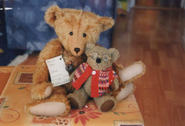 OSO Animales Vintage Tarjeta Postal CPSM #PBS086.A - Bears