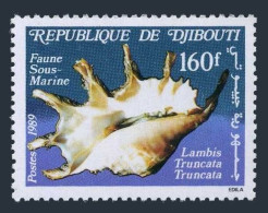 Djibouti 643,MNH.Michel 517. Marine Life,1989.Shell Lambis Truncata. - Djibouti (1977-...)