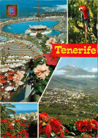 Espagne - Espana - Islas Canarias - Tenerife - Multivues - Perroquet - Immeubles - Architecture - CPM - Voir Scans Recto - Tenerife