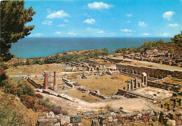 Grèce - Ile De Rhodes - Rodos - Ville Ancienne De Kamiros - Carte Neuve - CPM - Voir Scans Recto-Verso - Greece