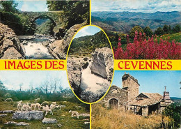 30 - Gard - Les Cévennes - Multivues - Moutons - CPM - Voir Scans Recto-Verso - Sonstige & Ohne Zuordnung