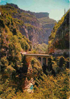 06 - Les Gorges Du Loup - Le Pont De L'Abime - CPM - Voir Scans Recto-Verso - Other & Unclassified