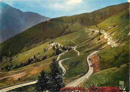 04 - Allos - Le Col D'Allos - Descente Sur Barcelonnette - Etat Léger Pli Visible - CPM - Voir Scans Recto-Verso - Other & Unclassified