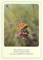 Animaux - Papillons - Fleurs - CPM - Voir Scans Recto-Verso - Schmetterlinge