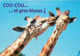 Animaux - Girafes - Carte Humoristique - Carte Neuve - CPM - Voir Scans Recto-Verso - Giraffes