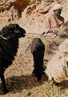 Animaux - Moutons - Poésie Du Maroc - CPM - Voir Scans Recto-Verso - Autres & Non Classés