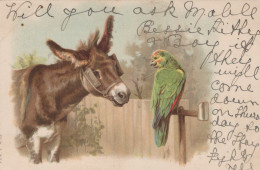 1902 ÂNE Animaux Vintage Antique CPA Carte Postale #PAA115.A - Burros