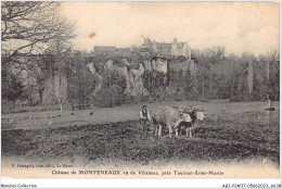 ABJP2-36-0134 - Chateau De Monteneaux - Vu De Villennes - Pres TOURNON-SAINT-MARTIN ATTELAGE BOEUFS LABOURAGE - Autres & Non Classés