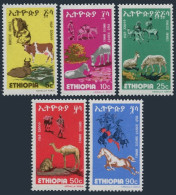 Ethiopia 869-873, MNH. Mi 960-964. 1978. Cattle, Mule, Goat, Dromedary, Horses. - Ethiopia