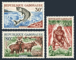 Gabon 172-174, MNH. Michel 199-201. Fauna 1964: Fish Tarpon, Gorilla, Buffalo. - Gabon (1960-...)