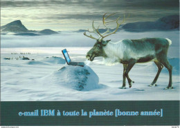 Carte De Voeux 199. - IBM : E-mail IBM à Toute La Planète (bonne Année) - Reclame