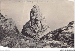 ACKP5-22-0436 - LE CAP FREHEL - Rocher De La Fauconnière - Cap Frehel