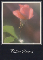FIORI Vintage Cartolina CPSM #PAS243.IT - Blumen
