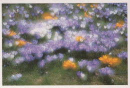 FIORI Vintage Cartolina CPSM #PAR462.IT - Fleurs