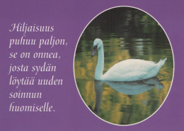 UCCELLO Animale Vintage Cartolina CPSM #PAM710.IT - Birds