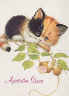 GATTO KITTY Animale Vintage Cartolina CPSM #PAM142.IT - Chats