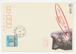 Postal Stationery Japan Cat - Otros & Sin Clasificación