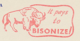 Meter Top Cut USA 1954 Bison - Altri & Non Classificati
