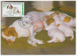 Maximum Card Bulgaria 1997 Dog - Otros & Sin Clasificación