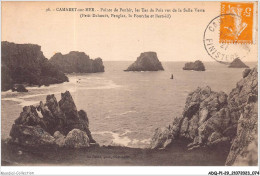 ADQP1-29-0038 - CAMARET-SUR-MER - Pointe De Penhir - Les Tas De Pois Vus De La Salle Verte - Camaret-sur-Mer