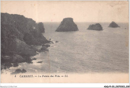 ADQP1-29-0016 - CAMARET-SUR-MER - La Pointe Des Pois - Camaret-sur-Mer