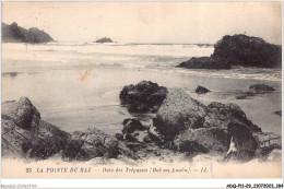 ADQP11-29-1094 - LA POINTE DU RAZ - Baie Des Trépassés - La Pointe Du Raz