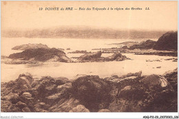 ADQP11-29-1065 - LA POINTE DU RAZ - Baie Des Trépassés à La Région Des Grottes - La Pointe Du Raz