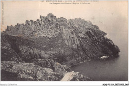 ADQP11-29-1036 - POINTE DU RAZ - La Tête De Cochon - Le Chapeau Du Général - La Pointe Du Raz