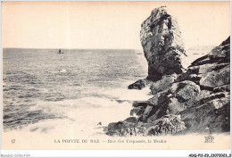 ADQP10-29-1001 - POINTE DU RAZ - La Baie Des Trépassés - Le Menhir - La Pointe Du Raz