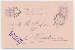 Trein Haltestempel Zaltbommel 1889 - Lettres & Documents